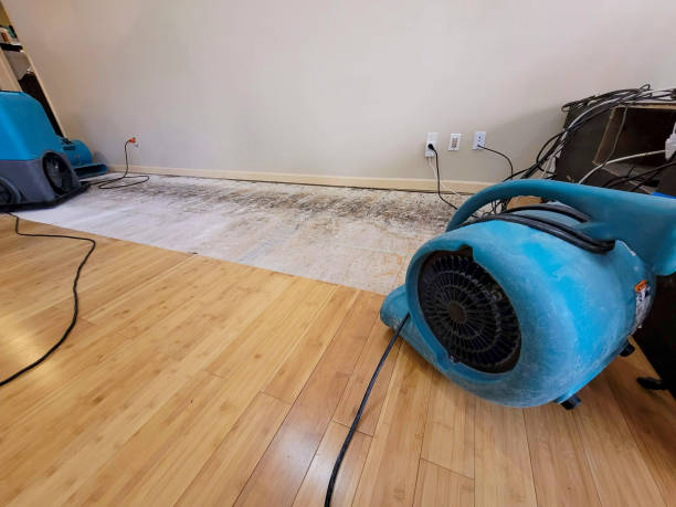 Reliable Basement Flood Cleanup contractor in Sunbury, OH by Hirex Water Damage