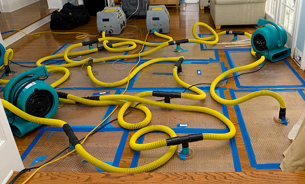 Professional Basement Flood Cleanup technician working in Sunbury, OH